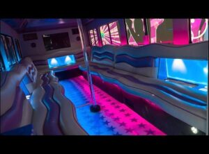 Spacious interior of a 22-passenger party bus with modern decor and ambient lighting.